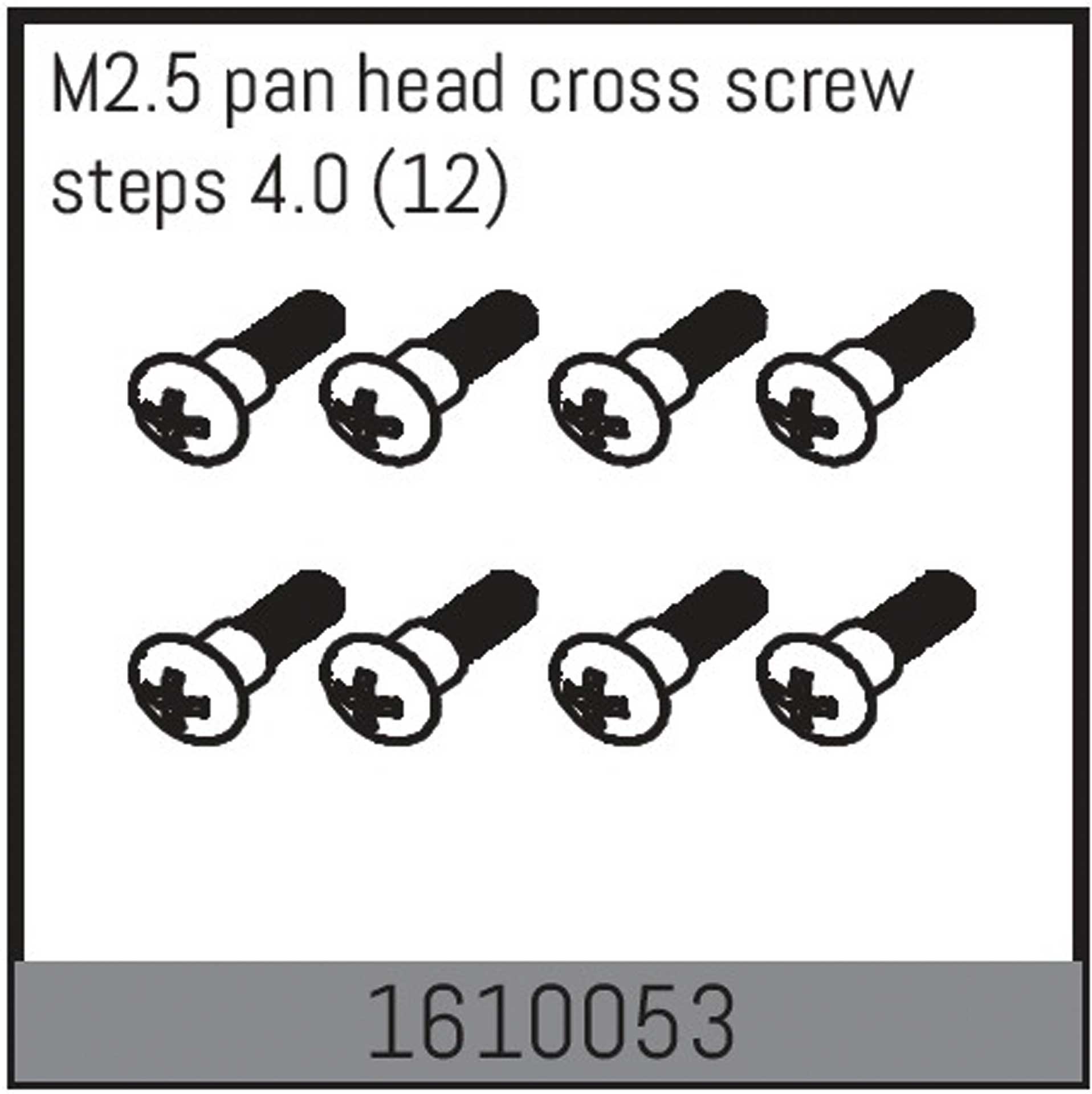 ABSIMA M2.5 pan head cross screw steps 4.0 (12)