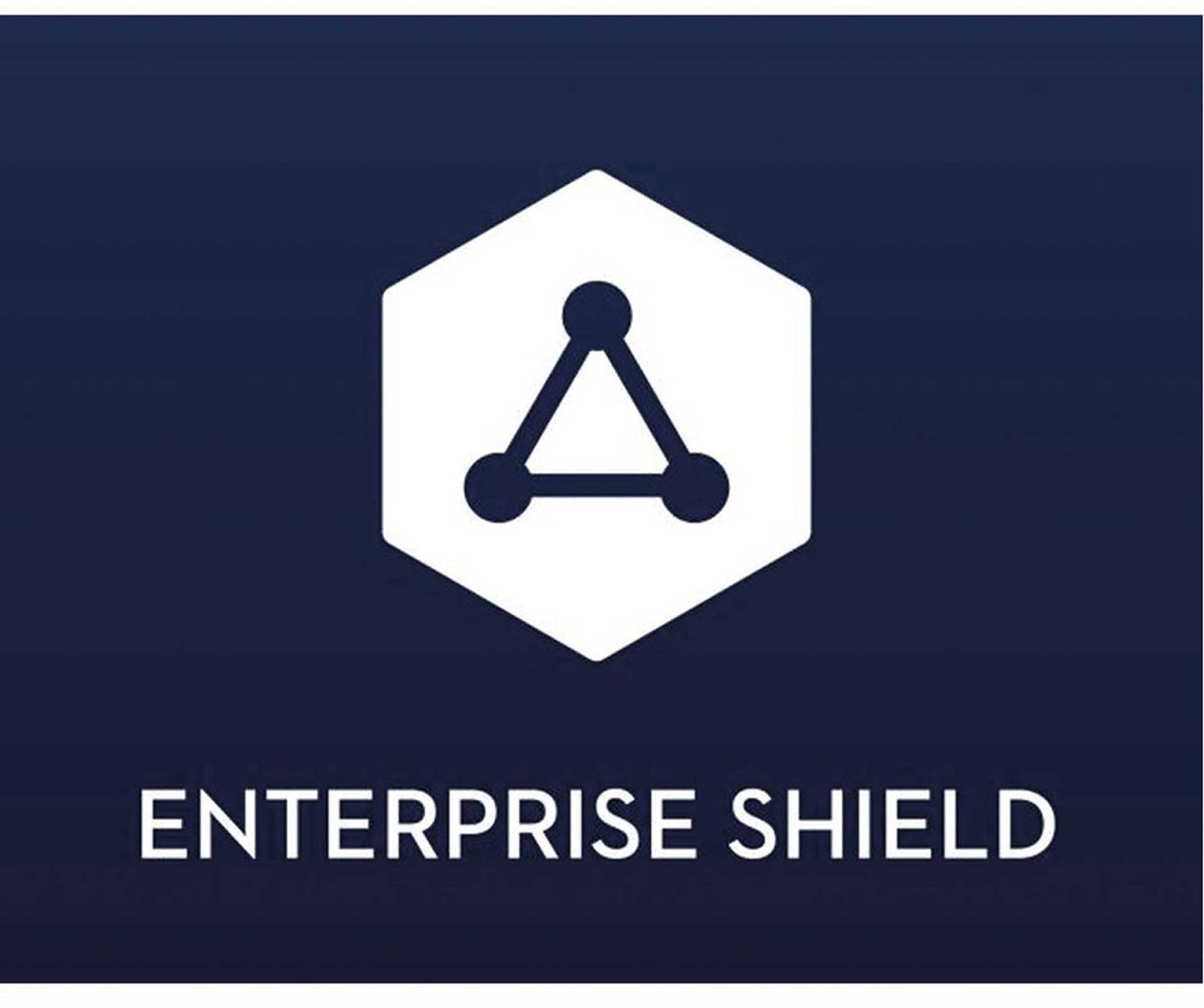 DJI Enterprise Shield Basic (P4 RTK) Aktivierungscode für 12 Monate