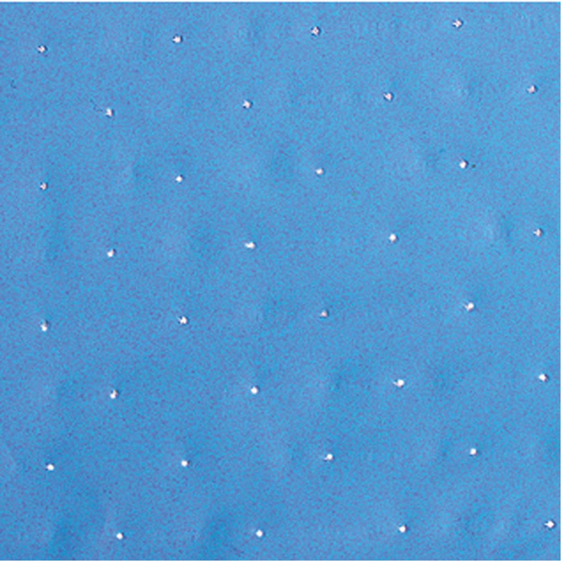 R&G Vacuum film BLUE perforated (P1) (25 my, 125 °C, 300 %) 145 cm, roll/ 5 m