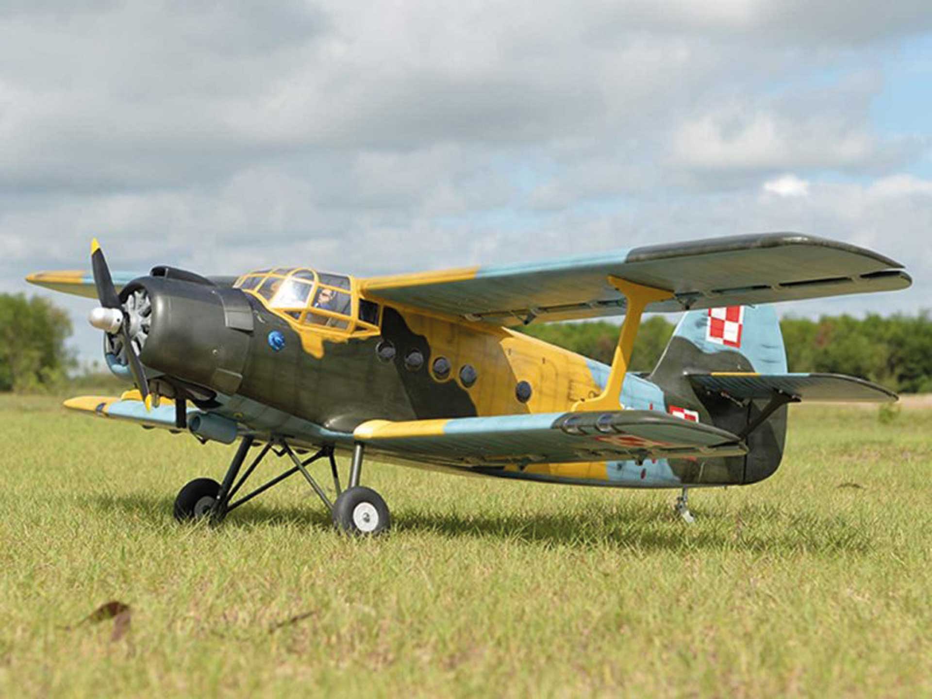 BLACK HORSE Antonov AN-2 / 2425mm Doppeldecker ( BH186 )